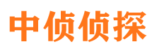 顺城外遇出轨调查取证